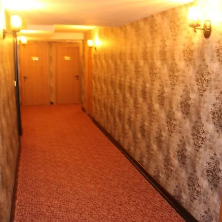 Palmiye Istanbulská provincie