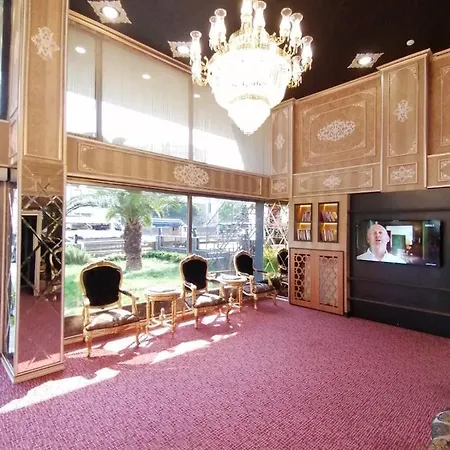 Palmiye Istanbulská provincie