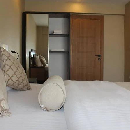 Palmiye イスタンブール