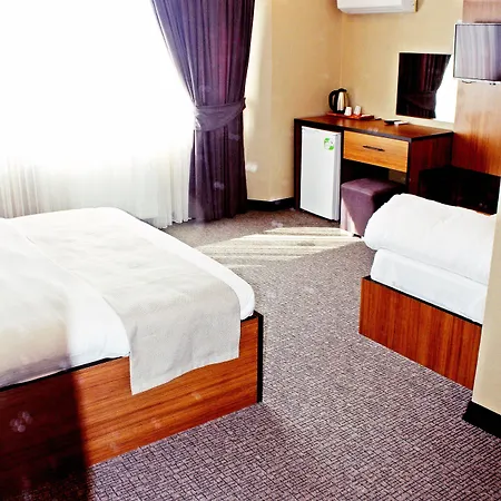 Отель Palmiye 4*