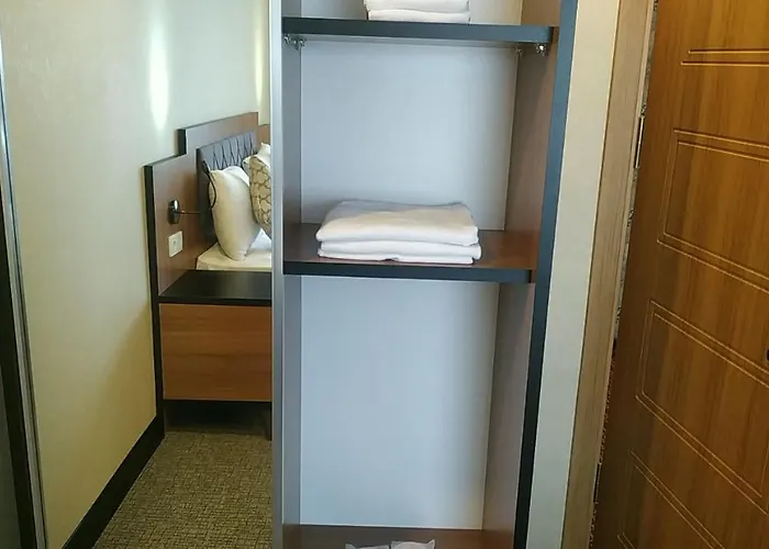 Palmiye Отель 4*